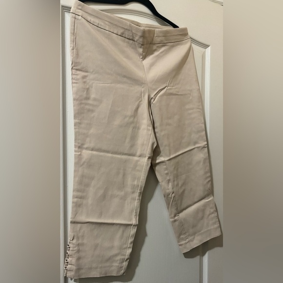 Counterparts Beige Flat Front Cropped Pants with beading on ankles - Picture 1 of 4